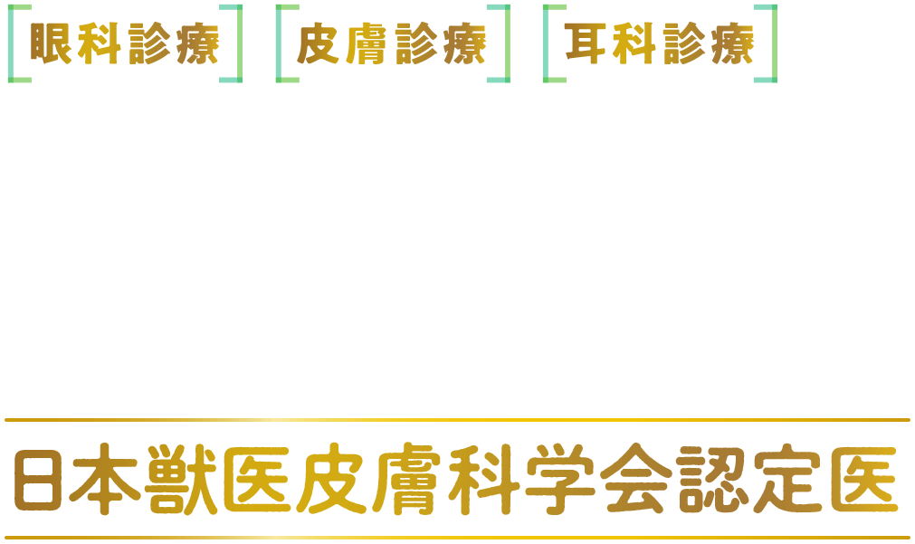 皮膚と眼科専門の松原動物病院