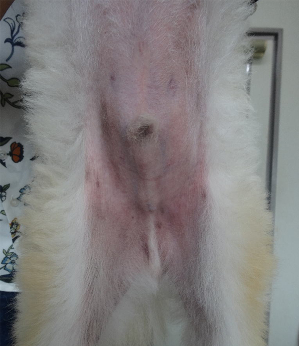 約1ヶ月後の所見