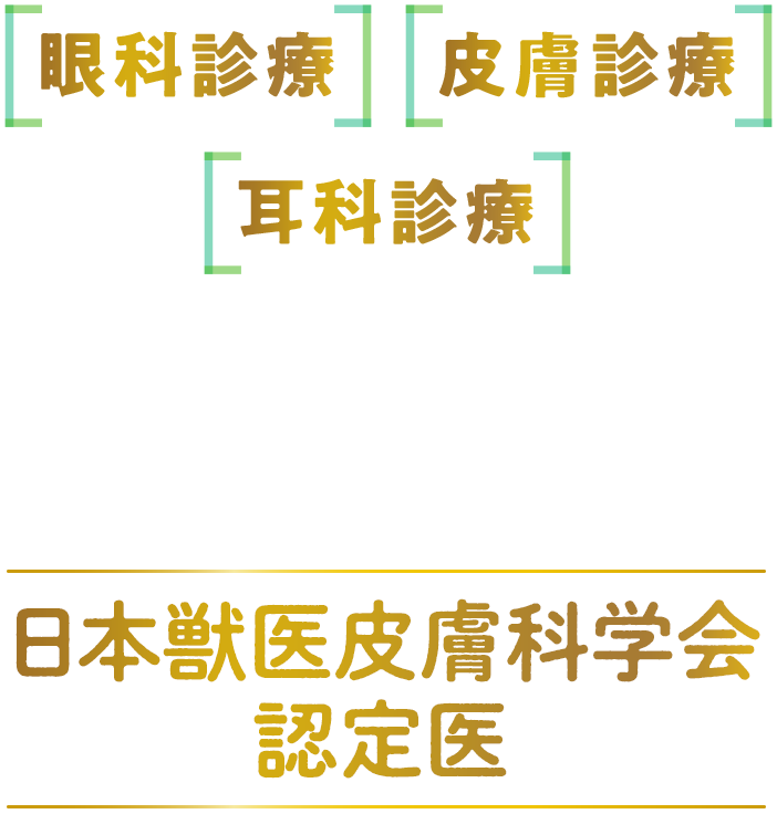 皮膚と眼科専門の松原動物病院